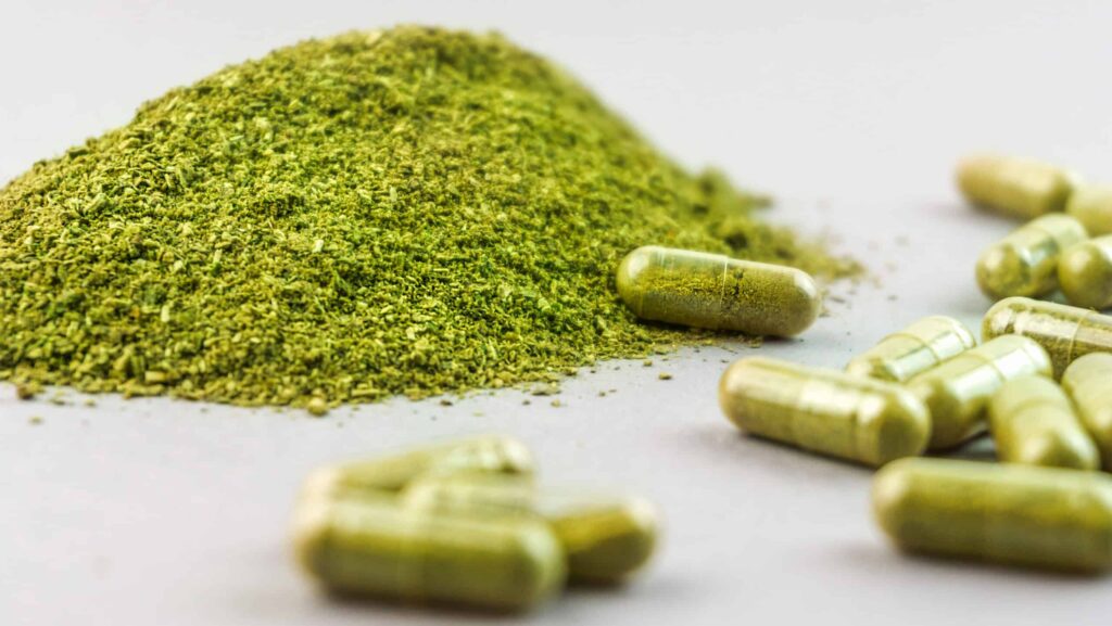 On a gray table, powder kratom is laid out next to encapsulated powdered kratom pills. The method of ingestion affects how long kratom stays in the system.