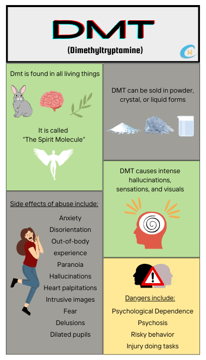 Infograph showing facts about the drug DMT and its effects on those who abuse it.