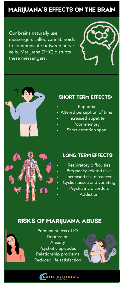 Infograph showing effects of marijuana on the brain.