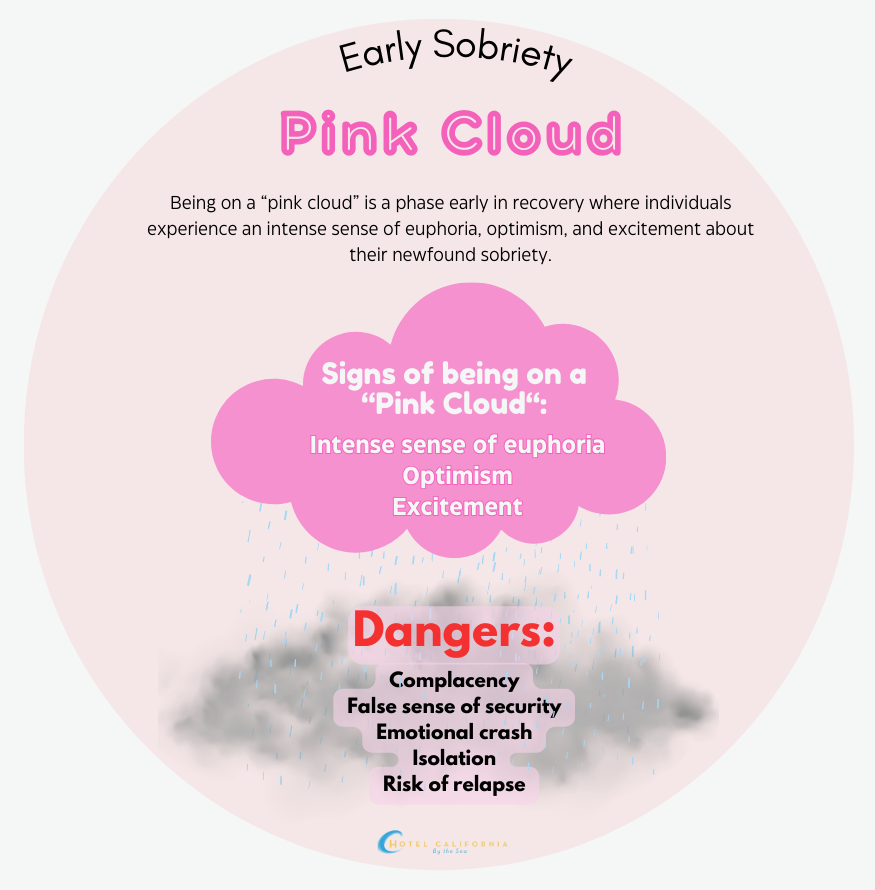 Infograph showing facts about the early signs of sobriety often referred to as pink cloud syndrome.