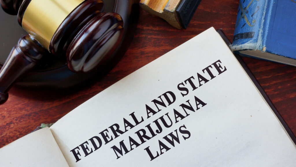 A wooden gravel and an open book with the words Federal and State Marijuana Laws on the first page represent federal scientists recommendation to ease restrictions on marijuana.