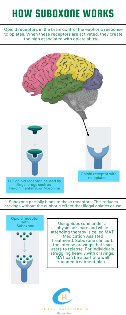 Infograph showing how suboxone works on the body to help with opioid use disorder.