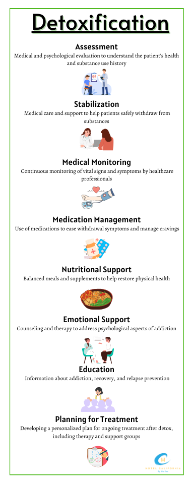 Infograph showing the steps in detoxification.