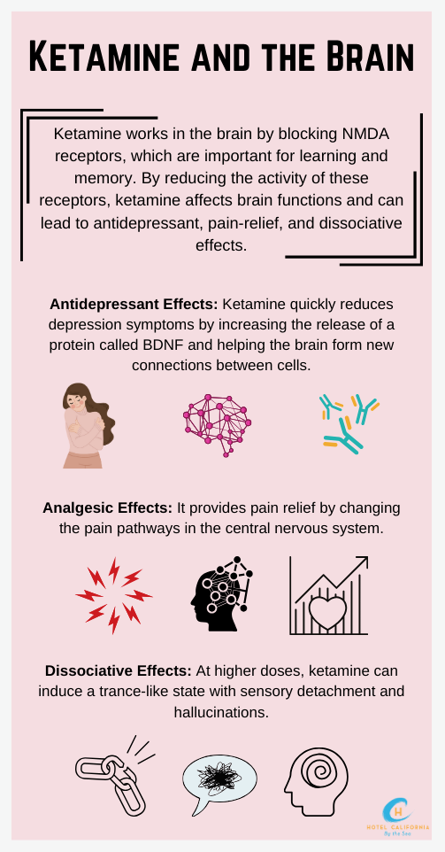 Infograph showing the effects of ketamine on the brain.