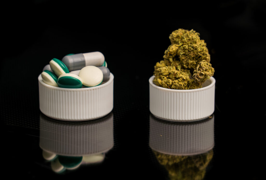 In a black background, one small bowl is filled with colorful green and white Adderall pills next to small bowl filled with marijuana buds shows the relationship between Adderall and weed.