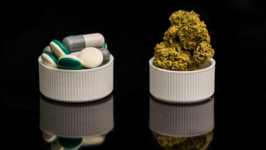 In a black background, one small bowl is filled with colorful green and white Adderall pills next to small bowl filled with marijuana buds shows the relationship between Adderall and weed.