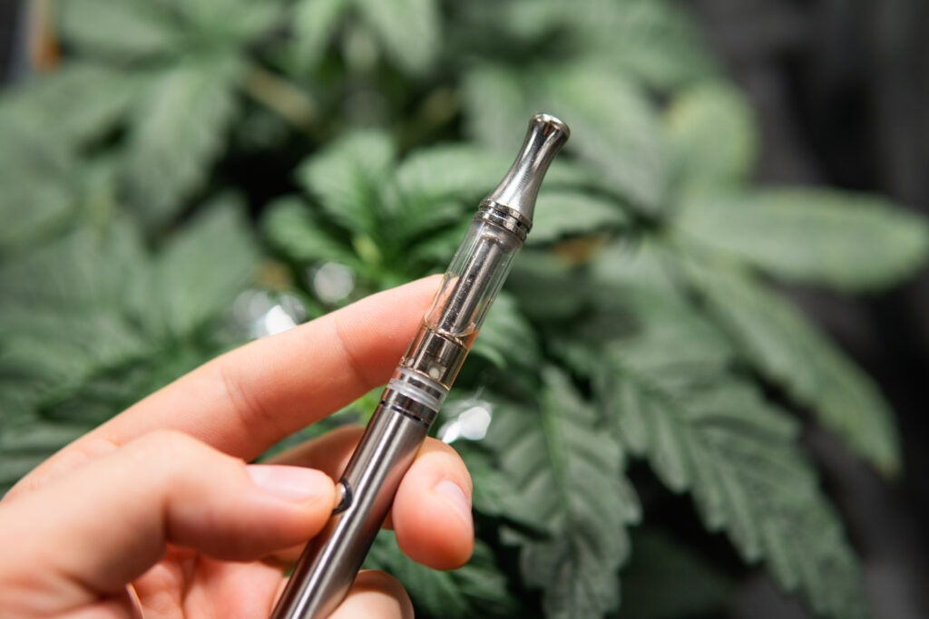 A young person is holding up a CBD vape pen in front of marijuana plants.