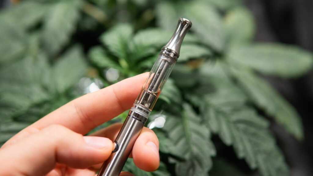 A young person is holding up a CBD vape pen in front of marijuana plants.