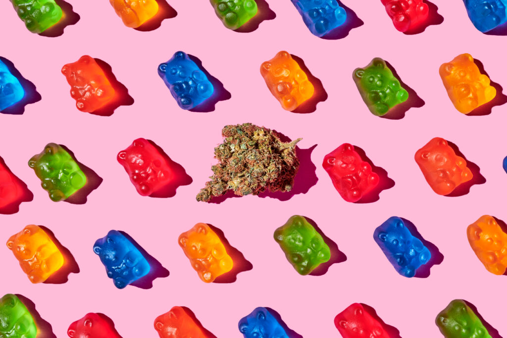 On a pink background, blue, orange, red and green microdose gummy bears are lined up next to a cannabis bud.