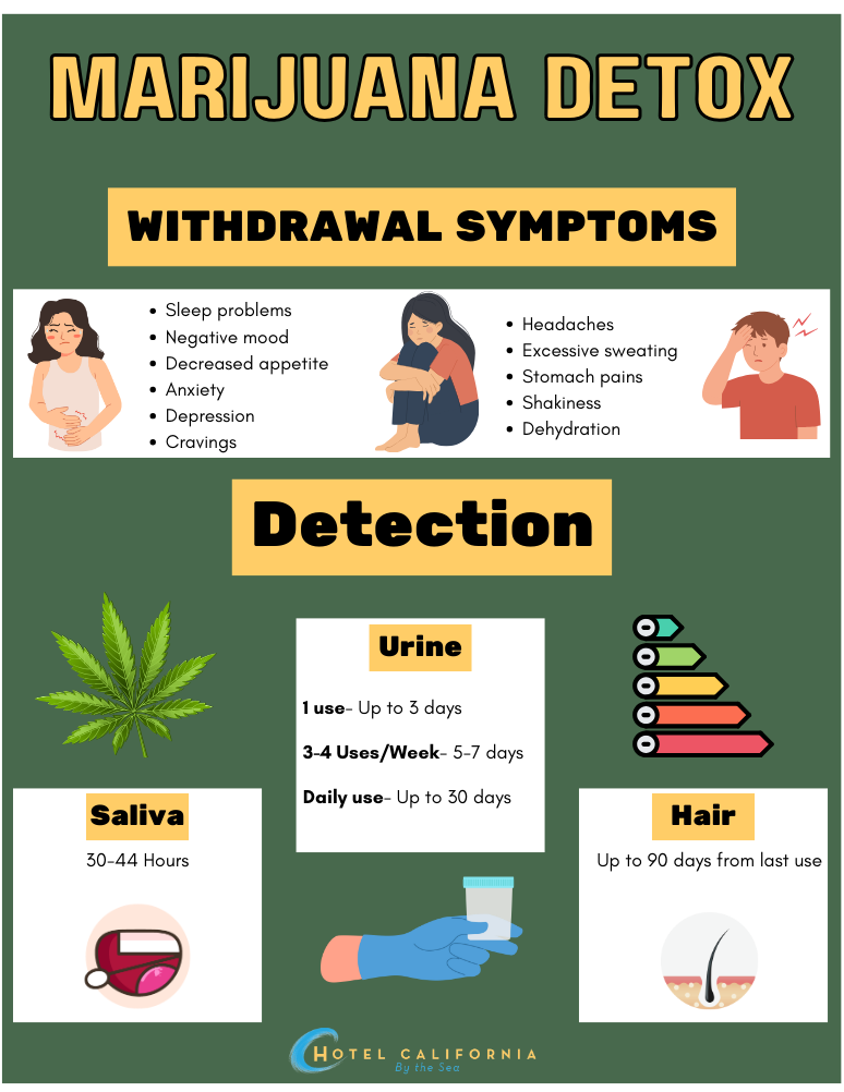 Infograph sharing information about marijuana detox.