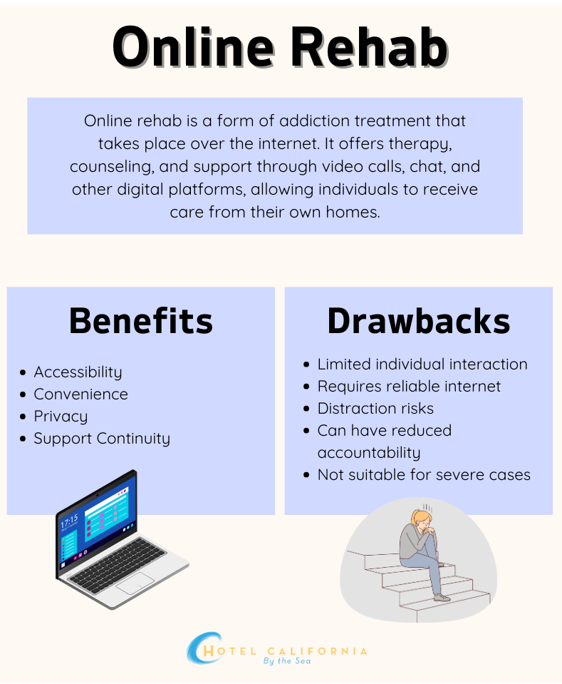 Infograph sharing information about the benefits and drawbacks of online rehab.