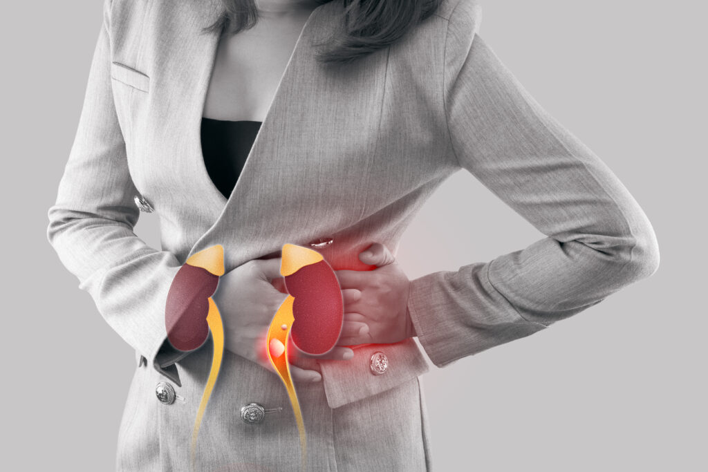 Can Kidneys Recover From Alcohol Damage?