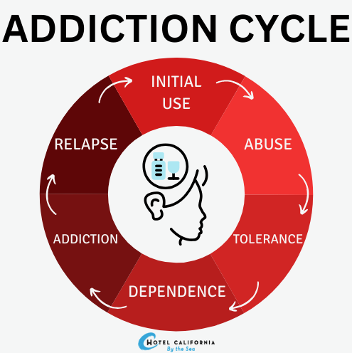 Infograph showing the process of the addiction cycle.