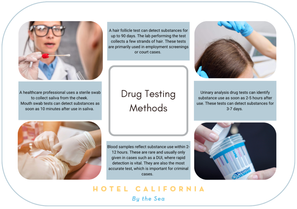 Infograph showing the types of drug testing methods.