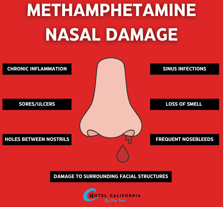 Infograph showing the dangers of snorting meth.