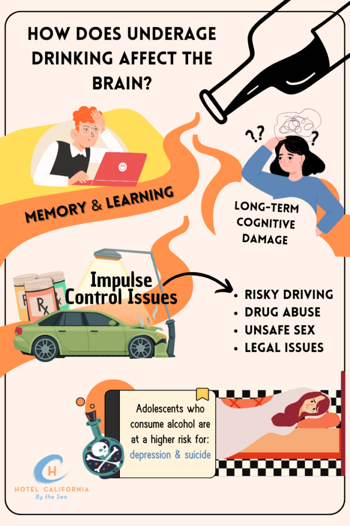 Infograph showing how underage drinking impacts the brain.